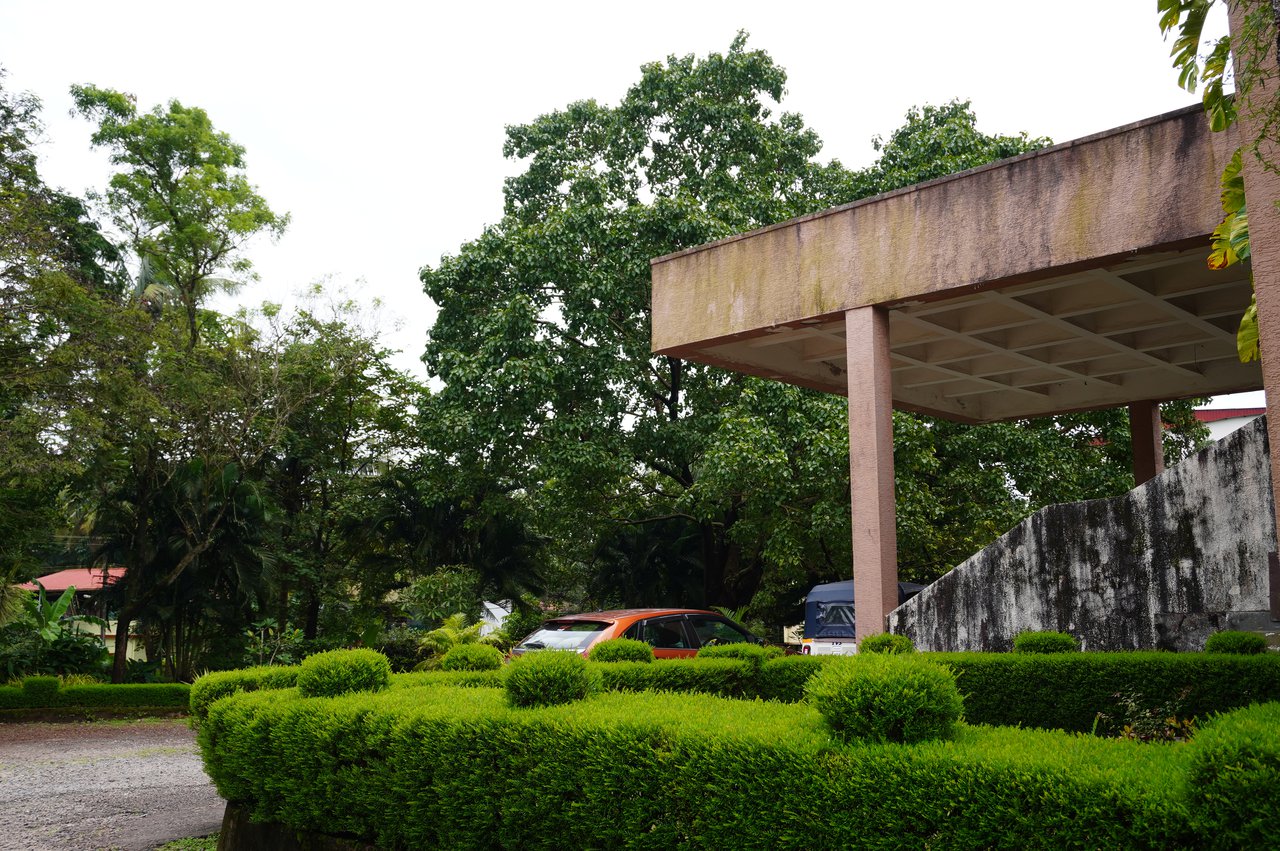 DSC00447